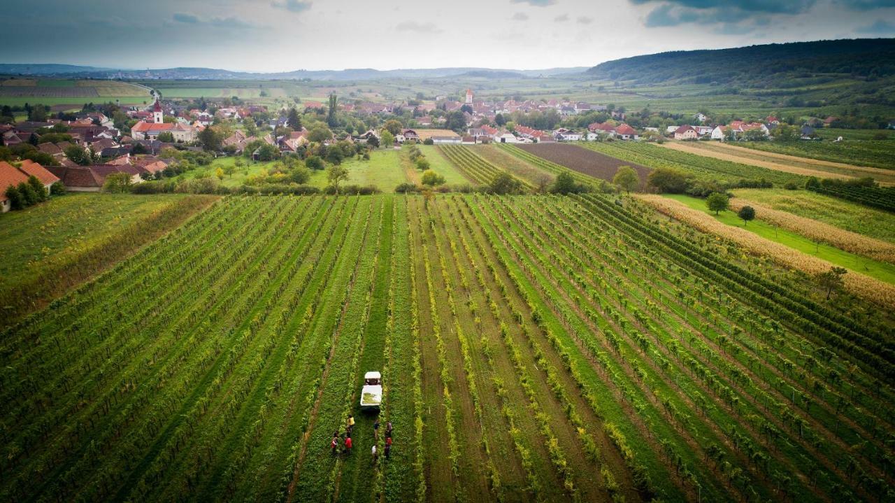 فندق Mitterretzbachفي  Weingut Familie Krell المظهر الخارجي الصورة